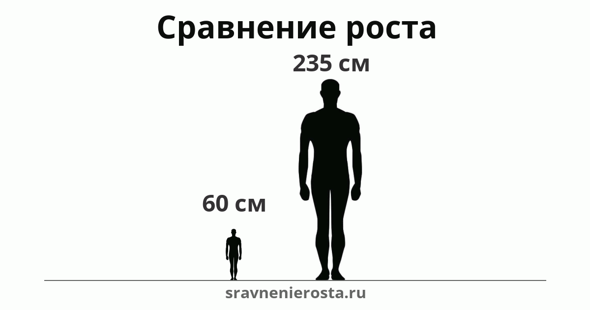 Визуализация соотношения роста мужчины (60 см) и мужчины (235 см) на сайте sravnenierosta.ru