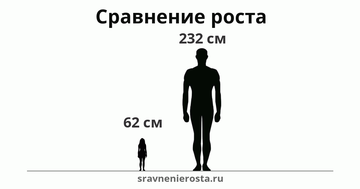 Визуализация соотношения роста женщины (62 см) и мужчины (232 см) на сайте sravnenierosta.ru