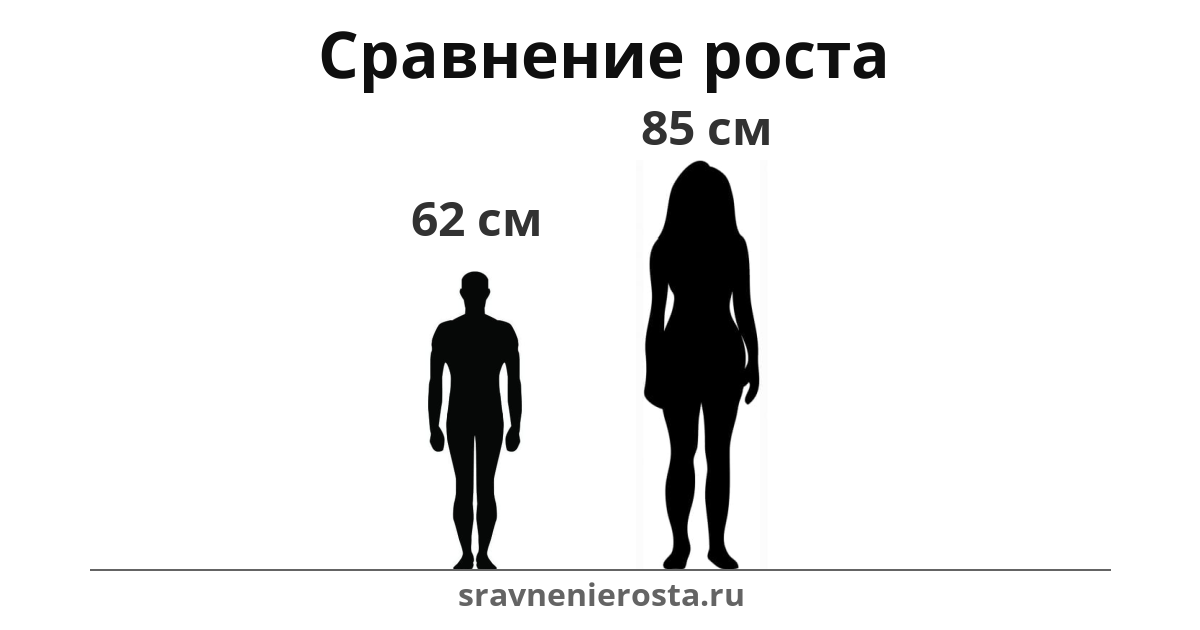 Визуализация соотношения роста мужчины (62 см) и женщины (85 см) на сайте sravnenierosta.ru