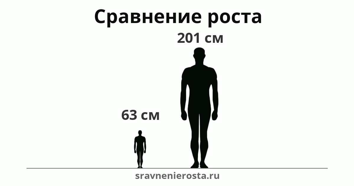 Визуализация соотношения роста мужчины (63 см) и мужчины (201 см) на сайте sravnenierosta.ru