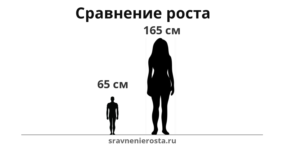 Визуализация соотношения роста мужчины (65 см) и женщины (165 см) на сайте sravnenierosta.ru