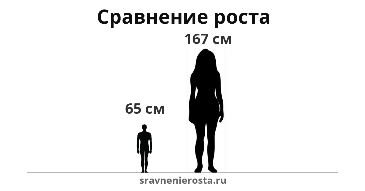 Визуализация соотношения роста мужчины (65 см) и женщины (167 см) на сайте sravnenierosta.ru