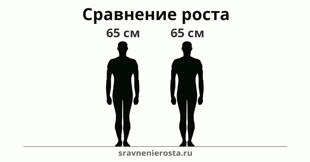 Визуализация соотношения роста мужчины (65 см) и мужчины (65 см) на сайте sravnenierosta.ru