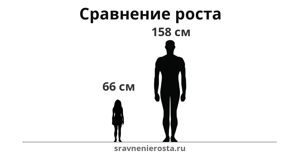 Визуализация соотношения роста женщины (66 см) и мужчины (158 см) на сайте sravnenierosta.ru
