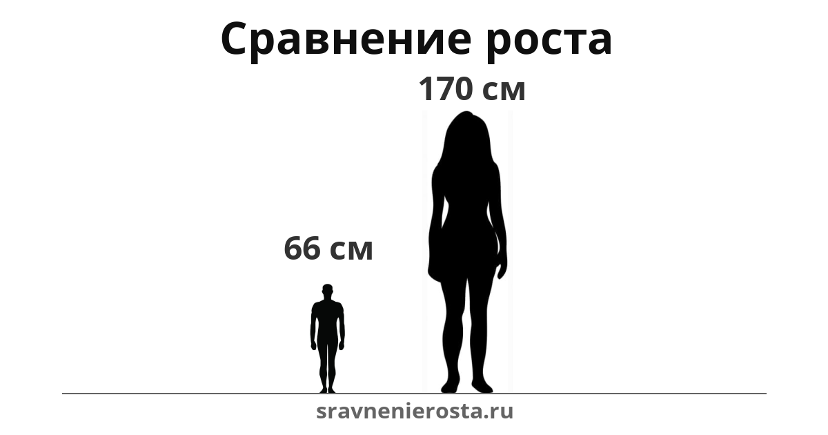 Визуализация соотношения роста мужчины (66 см) и женщины (170 см) на сайте sravnenierosta.ru