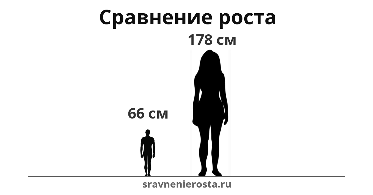 Визуализация соотношения роста мужчины (66 см) и женщины (178 см) на сайте sravnenierosta.ru