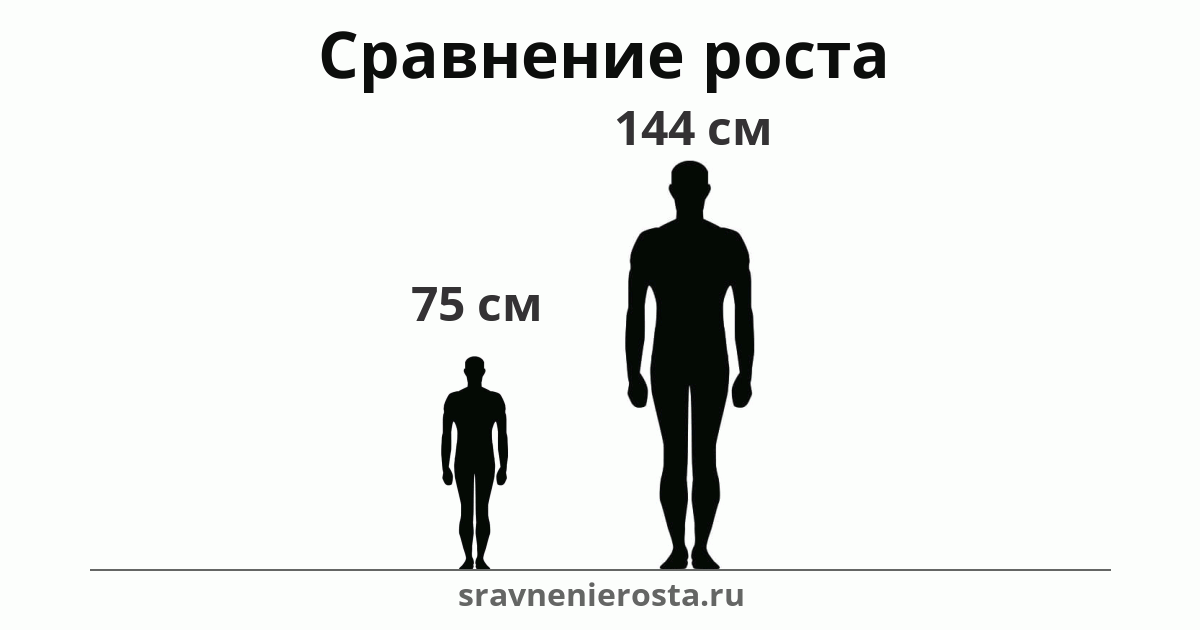 Визуализация соотношения роста мужчины (75 см) и мужчины (144 см) на сайте sravnenierosta.ru