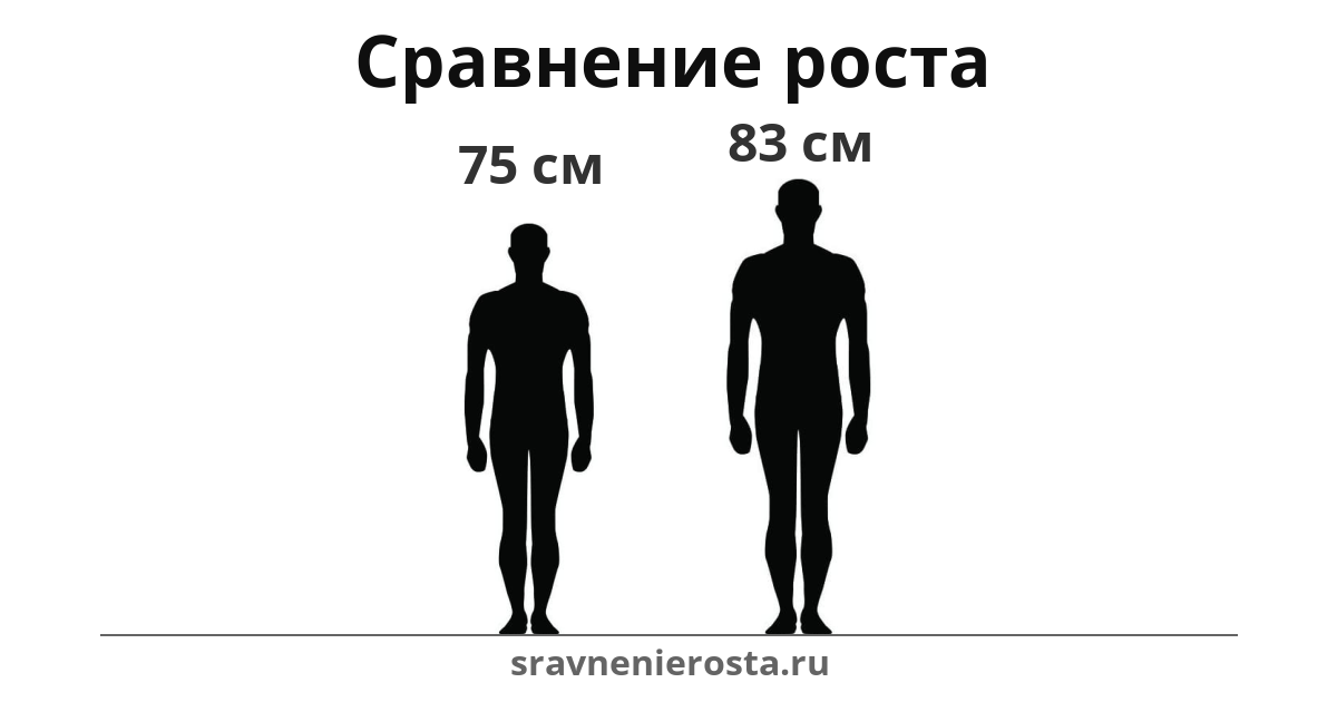 Визуализация соотношения роста мужчины (75 см) и мужчины (83 см) на сайте sravnenierosta.ru