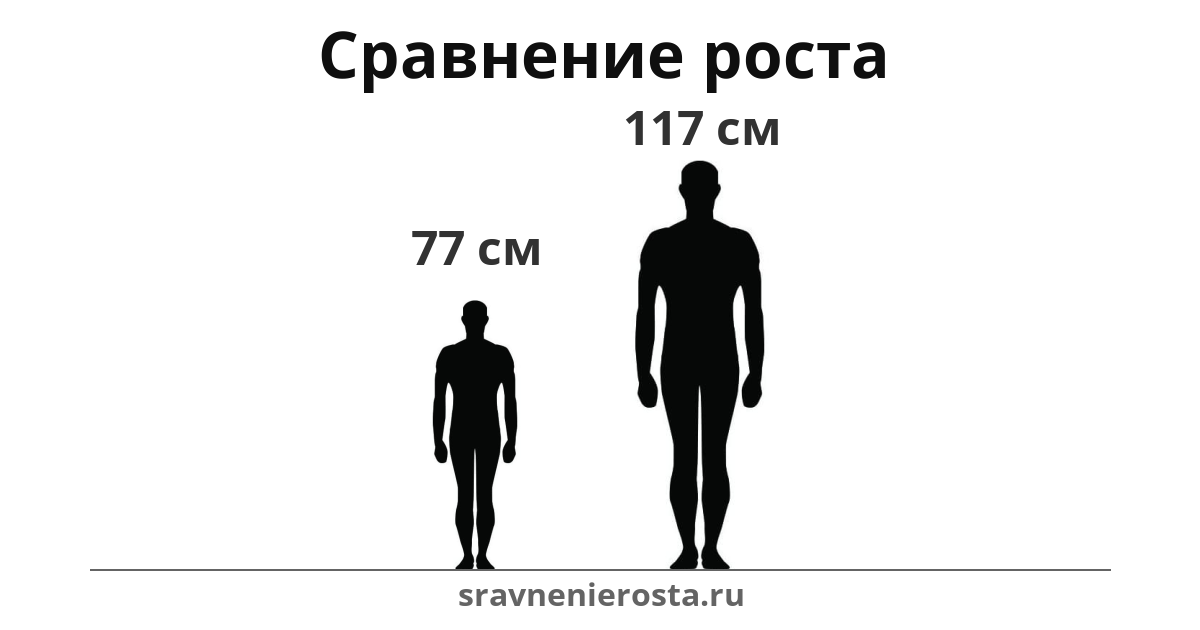 Визуализация соотношения роста мужчины (77 см) и мужчины (117 см) на сайте sravnenierosta.ru