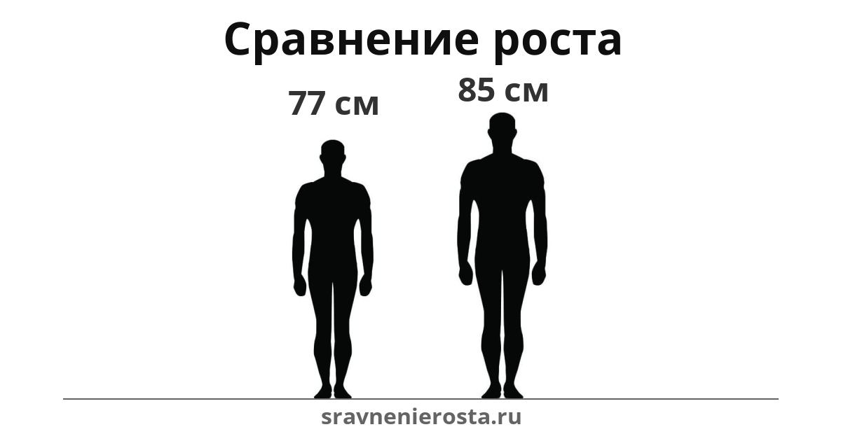 Визуализация соотношения роста мужчины (77 см) и мужчины (85 см) на сайте sravnenierosta.ru