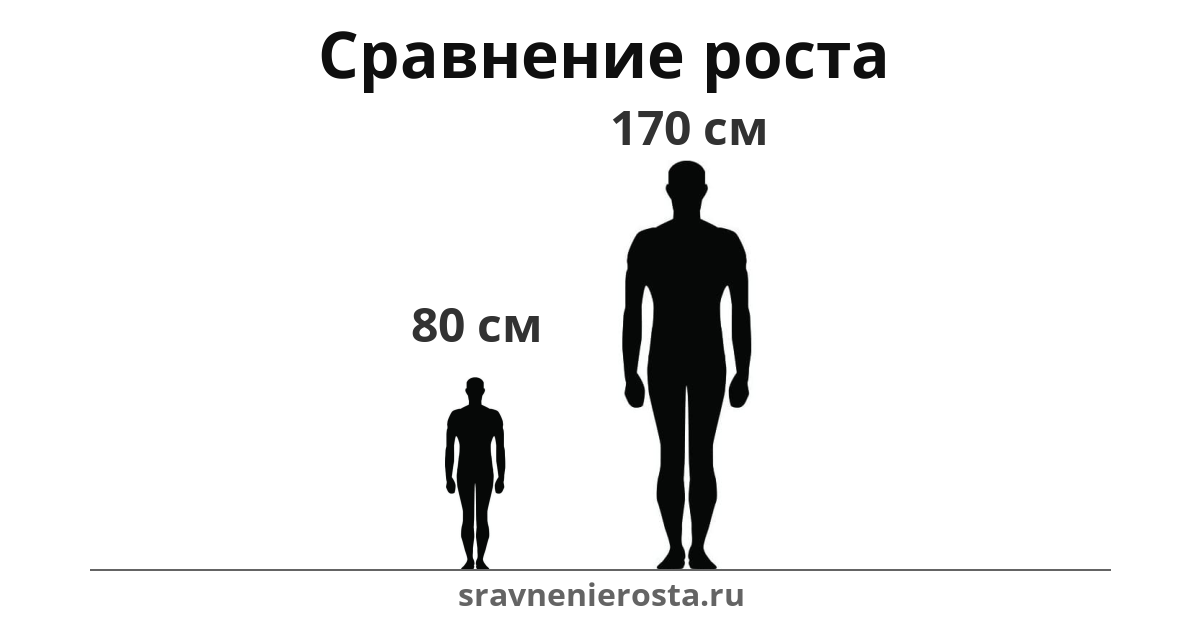 Визуализация соотношения роста мужчины (80 см) и мужчины (170 см) на сайте sravnenierosta.ru