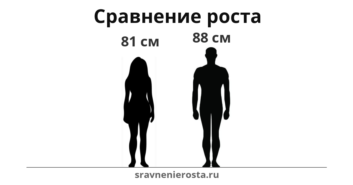 Визуализация соотношения роста женщины (81 см) и мужчины (88 см) на сайте sravnenierosta.ru