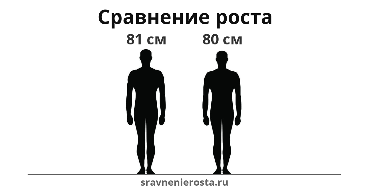 Визуализация соотношения роста мужчины (81 см) и мужчины (80 см) на сайте sravnenierosta.ru