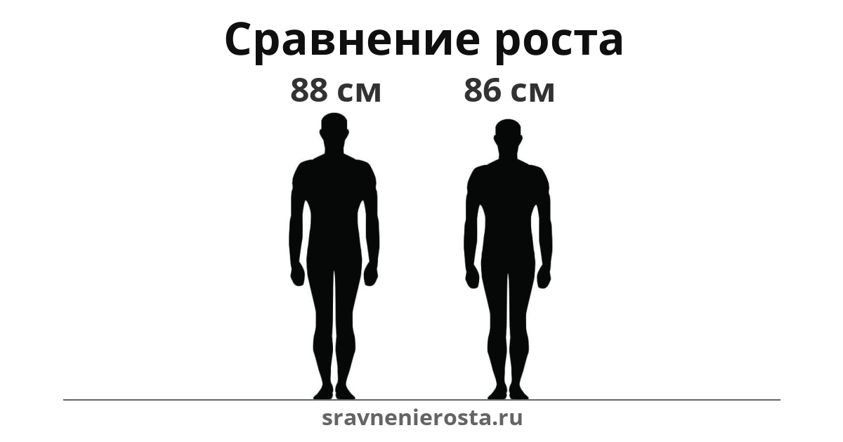 Визуализация соотношения роста мужчины (88 см) и мужчины (86 см) на сайте sravnenierosta.ru