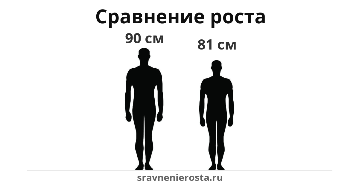 Визуализация соотношения роста мужчины (90 см) и мужчины (81 см) на сайте sravnenierosta.ru